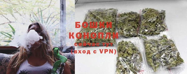 дживик Протвино