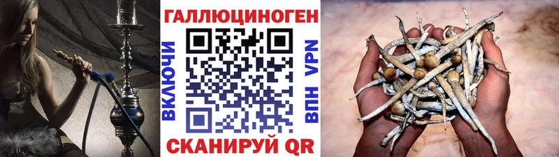 Галлюциногенные грибы Magic Shrooms  где найти   Кувандык 